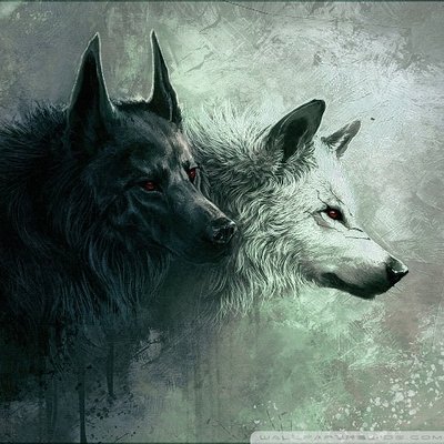 Profile Picture of Darrell Mcgee (@darrellmcgee12) on Twitter