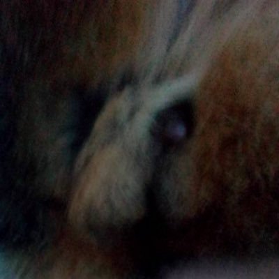 Profile Picture of Jean Micheline 57 (@57Micheline) on Twitter