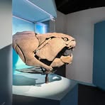 Profile Picture of Candace Brothers (@Candace-Brothers) on Facebook