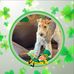 Profile Picture of Lori Nettles (@lori.nettles.96) on Facebook