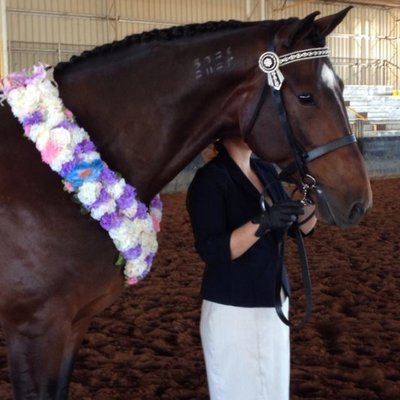 Profile Picture of Lisa Bahr (@lisa_bahr) on Twitter