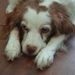 Profile Picture of Lori A O'Dell (@coolangel65) on Pinterest