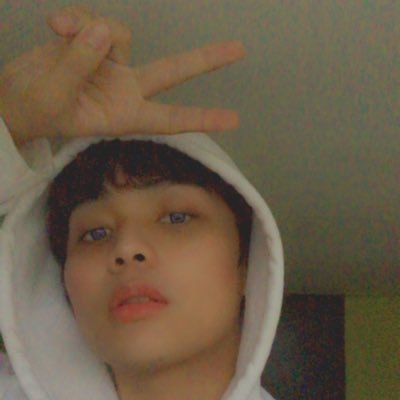 Profile Picture of 𝔳𝔦𝔫𝔠𝔢𝔫𝔱 🐼 (@KarlVincentPine) on Twitter