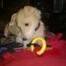 Profile Picture of Robert Bohnet (@robert.bohnet.7) on Facebook