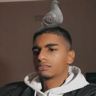 Profile Picture of Nobel Reece Prize (@notReecePeters) on Twitter