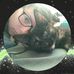 Profile Picture of Eryn Roberts (@Eryn-Roberts) on Facebook