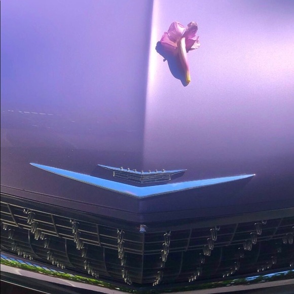 Profile Picture of Jannah Zahriyeh (@jannahzahriyeb) on Poshmark