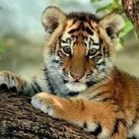 Profile Picture of Jenna Richman (@jenna-richman-2) on Quora