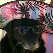 Profile Picture of Samuel Back (@samuelback6071) on Youtube