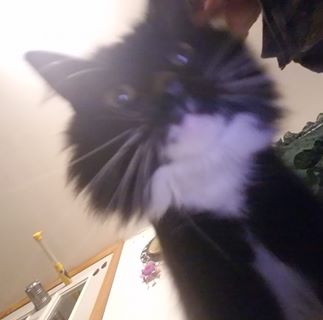 Profile Picture of Joseph Merinen (@joseph.merinen) on Facebook