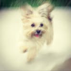 Profile Picture of Ginger Scofield (@Ginger-Scofield) on Facebook