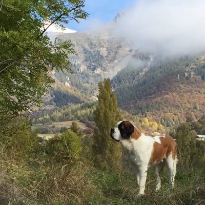 Profile Picture of Mouren05 (@MourenDu05) on Twitter