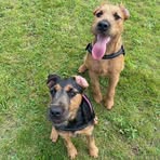 Profile Picture of Richard Tongue (@tongey72) on Facebook