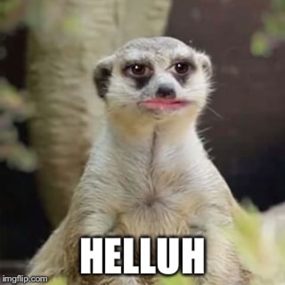 Profile Picture of Mike Matta (@mpmatta18) on Poshmark