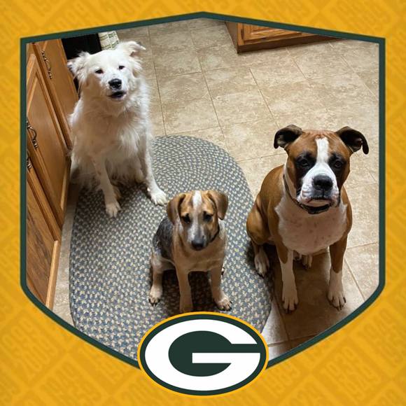 Profile Picture of Eric Paulson (@bigicer) on Poshmark