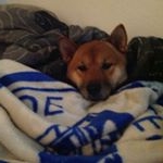 Profile Picture of Jason (@jason_diedrich) on Instagram