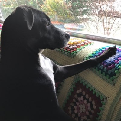 Profile Picture of Dani Weiner (@daniweiner) on Twitter