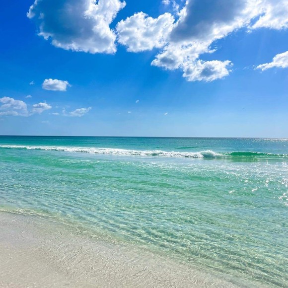 Debbie Sarmadi - Poshmark Profile Picture of Debbie Sarmadi (@dsarmadi) on Poshmark