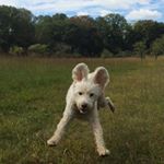 Profile Picture of Max Woolley (@pseudo_maxwoolley) on Instagram