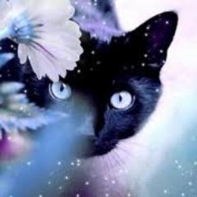 Profile Picture of Keane Boone (@PeterMckinney94) on Twitter