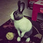 Profile Picture of petiteonion (@@petiteonion) on Tiktok