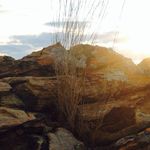 Profile Picture of Michael Kinnett (@mtkinnett) on Instagram