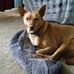 Profile Picture of Mark Heyn (@mark.heyn.57) on Facebook