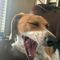 Profile Picture of Brett Schroeder (@Brett-Schroeder) on Facebook