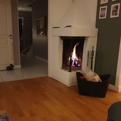 Profile Picture of ENGSTROM.ELISABETH@t (@engstrom51) on Twitter