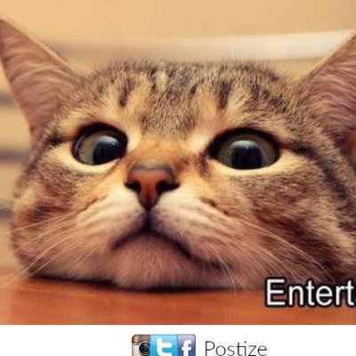 Profile Picture of Deng (@Ritadeng) on Twitter