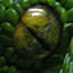 Profile Picture of Thomas Zastrow (@thomas.zastrow) on Flickr