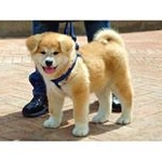 Profile Picture of ralph kremer (@ralphkremer) on Instagram