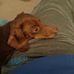 Profile Picture of Robert Perman (@robert.perman.733) on Facebook