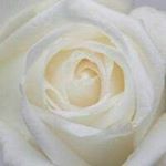 Profile Picture of Jessica Gordillo (@jessica.gordillo) on Instagram