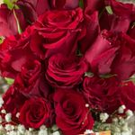 Profile Picture of Renkleri Seven Biri (@renkleriseveriz) on Instagram