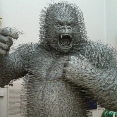 Profile Picture of David McKeever (@Curious1ncident) on Twitter