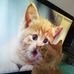 Profile Picture of Jo Chou (@jo.chou.165) on Facebook
