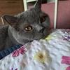 Profile Picture of   Nicole Levy (@nicole.levy)... (@nicole.levy) on Tiktok
