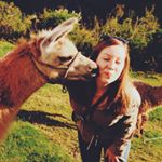 Profile Picture of Kendra Boyle Hoban (@theseasonedsuitcase) on Instagram