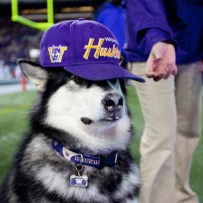 Profile Picture of John Stifter (@johnnystifter) on Twitter