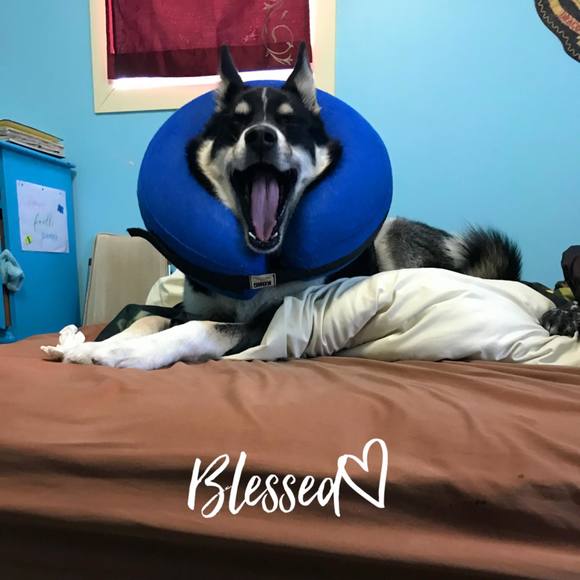 Profile Picture of Trinity Blair (@trinityblair420) on Poshmark