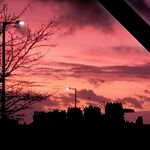 Profile Picture of John Radich (@johnradich) on Instagram