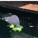 Profile Picture of Danielle Sibling (@Danielle-Sibling) on Facebook