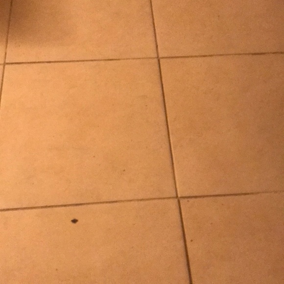 Profile Picture of Griselda Caba (@griselda080808) on Poshmark