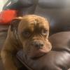 Profile Picture of James Nesmith (@@jzmreign) on Tiktok
