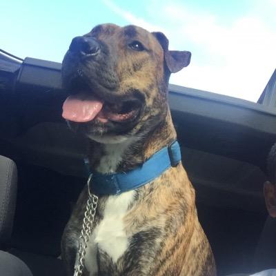 Profile Picture of Martin Walters (@Martivelli) on Twitter