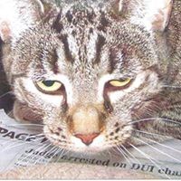 Roberta Gale - Quora Profile Picture of Roberta Gale (@roberta-gale-1) on Quora