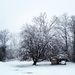 Profile Picture of Mylissa Battoni (@mybattoni) on Pinterest