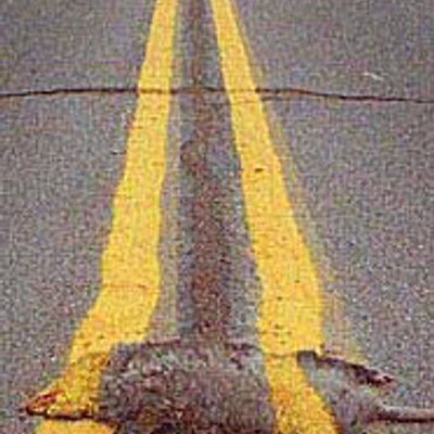 Profile Picture of Dave Worsley (@DaveLWorsley) on Twitter