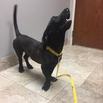 Profile Picture of Theodore Daniel (@theobeenborkin) on Instagram